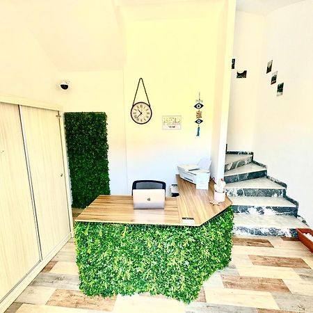 Bed And Beach Ipsos Bagian luar foto